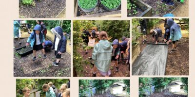 Laudato Si (Eco Team)